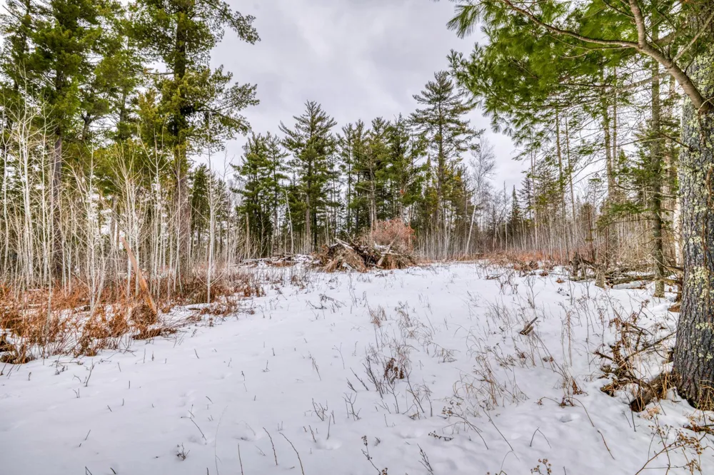 25524 Smokey Hollow Drive Laporte, MN 56461