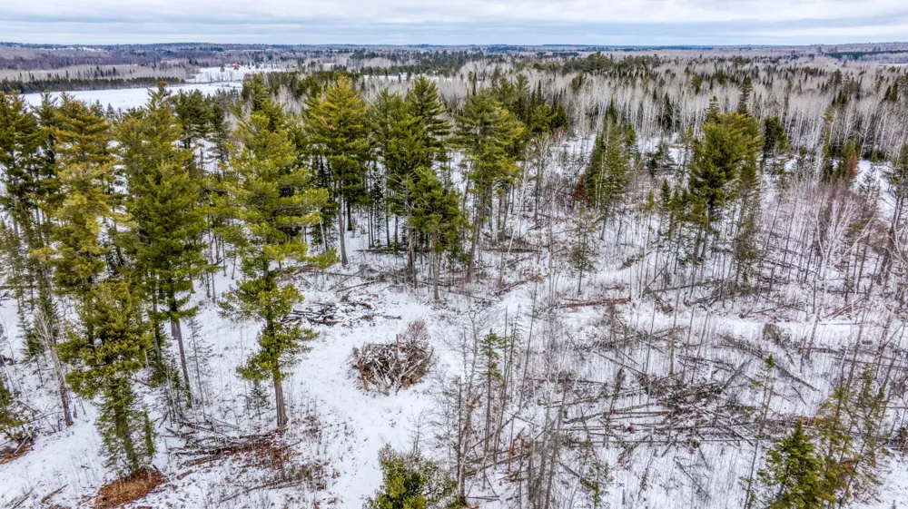 25524 Smokey Hollow Drive Laporte, MN 56461