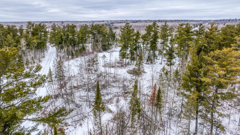 25524 Smokey Hollow Drive Laporte, MN 56461