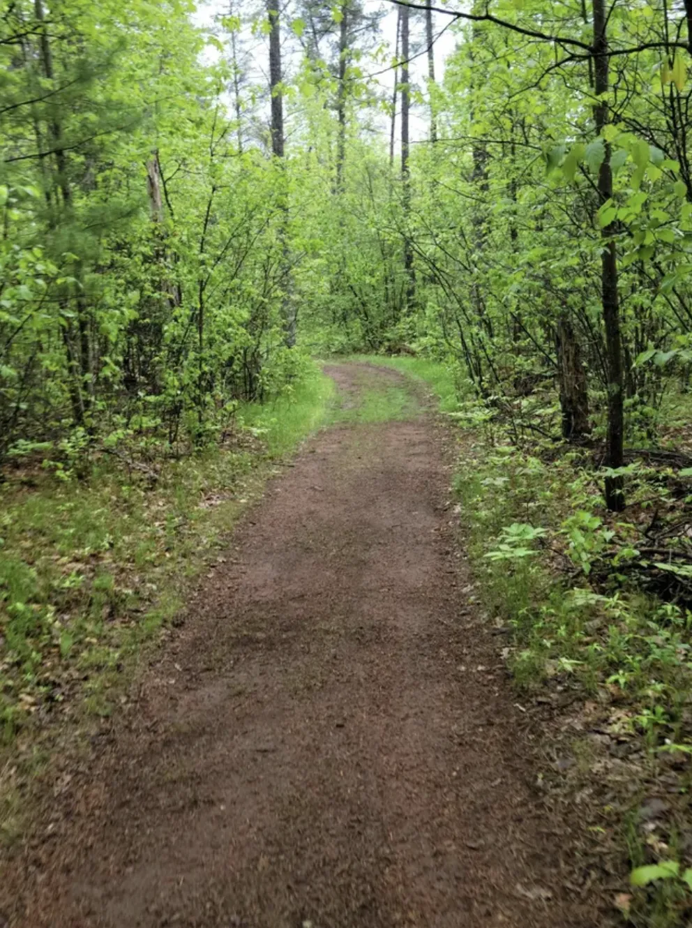 82348 Bennett Rd Willow River, MN 55795