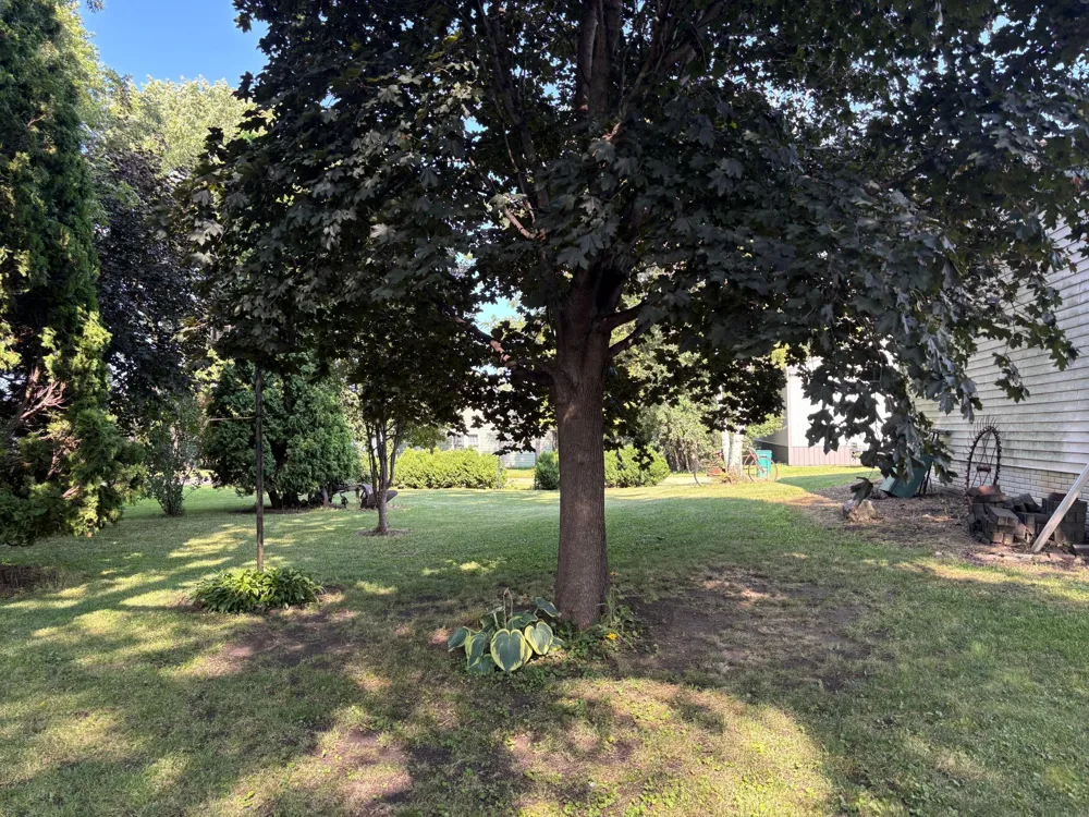 135 S Stenstrum Avenue Dunnell, MN 56127