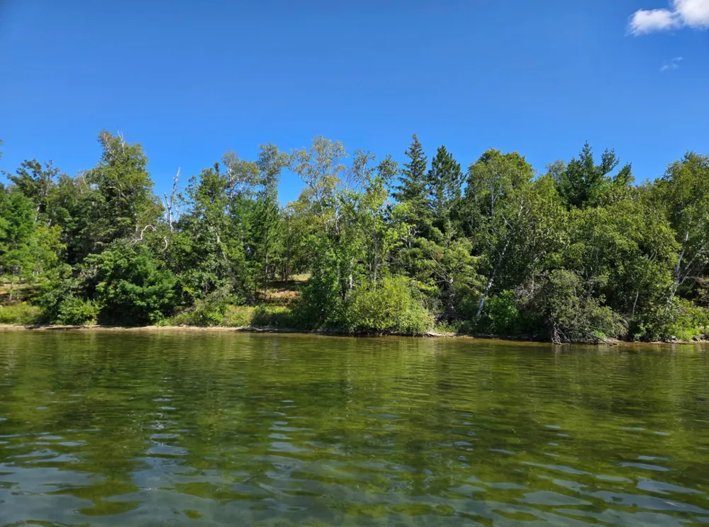 TBD Andrusia Road SE #Lot 7, Block 1 Cass Lake, MN 56633