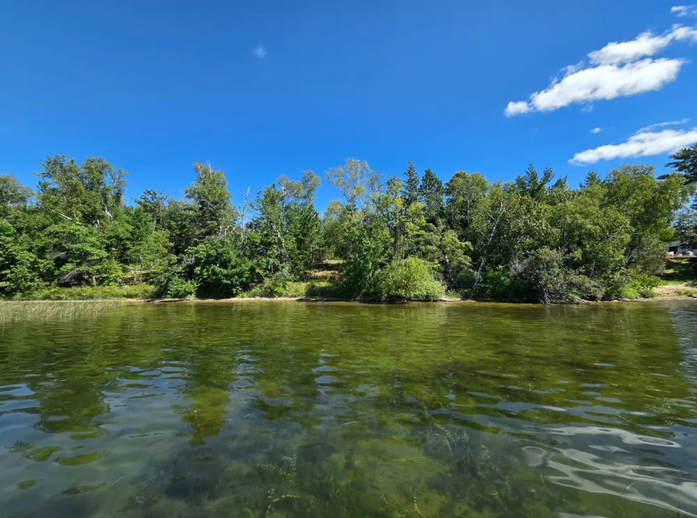 TBD Andrusia Road SE #Lot 7, Block 1 Cass Lake, MN 56633