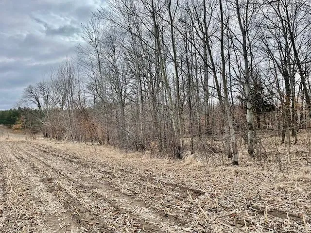 TBD CO HWY 1 Underwood, MN 56586