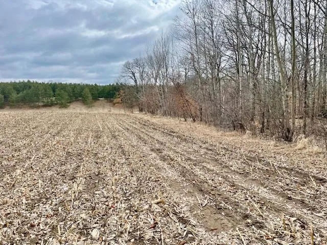 TBD CO HWY 1 Underwood, MN 56586