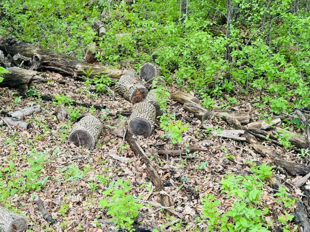 Lot 3 Canterbury Sands Trail Battle Lake, MN 56515