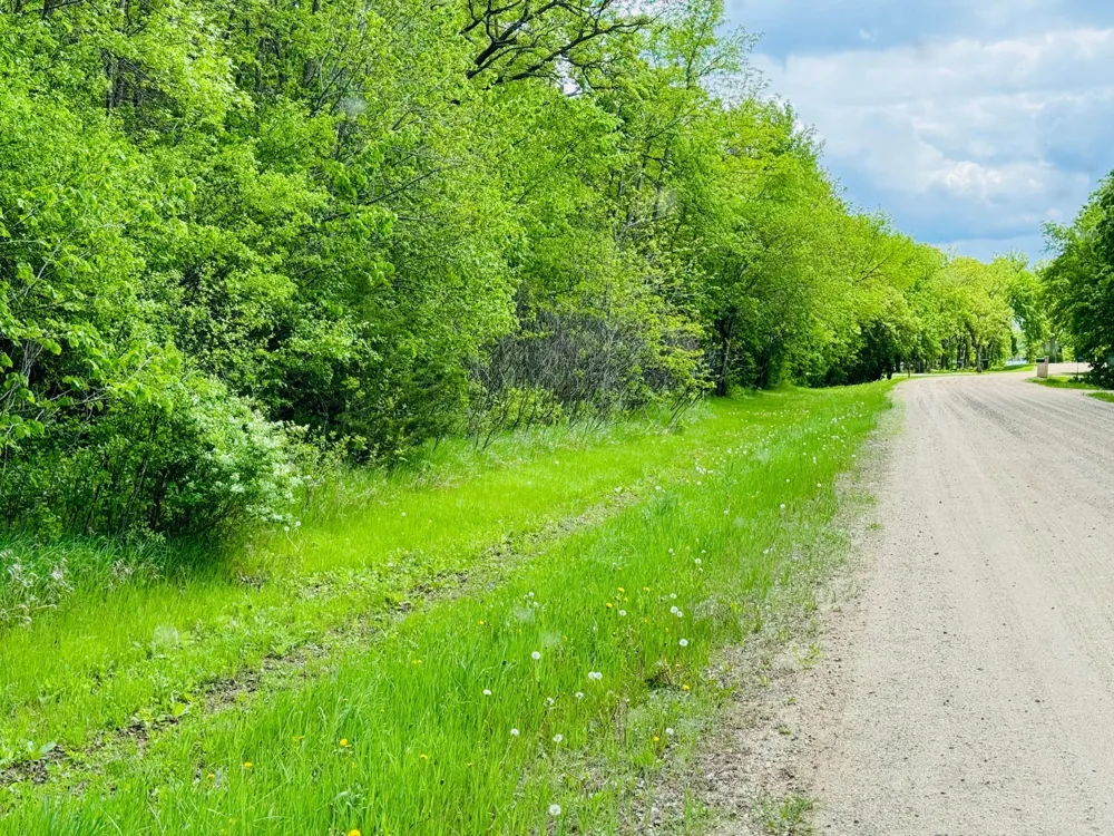 Lot 3 Canterbury Sands Trail Battle Lake, MN 56515