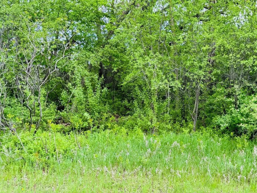 Lot 3 Canterbury Sands Trail Battle Lake, MN 56515
