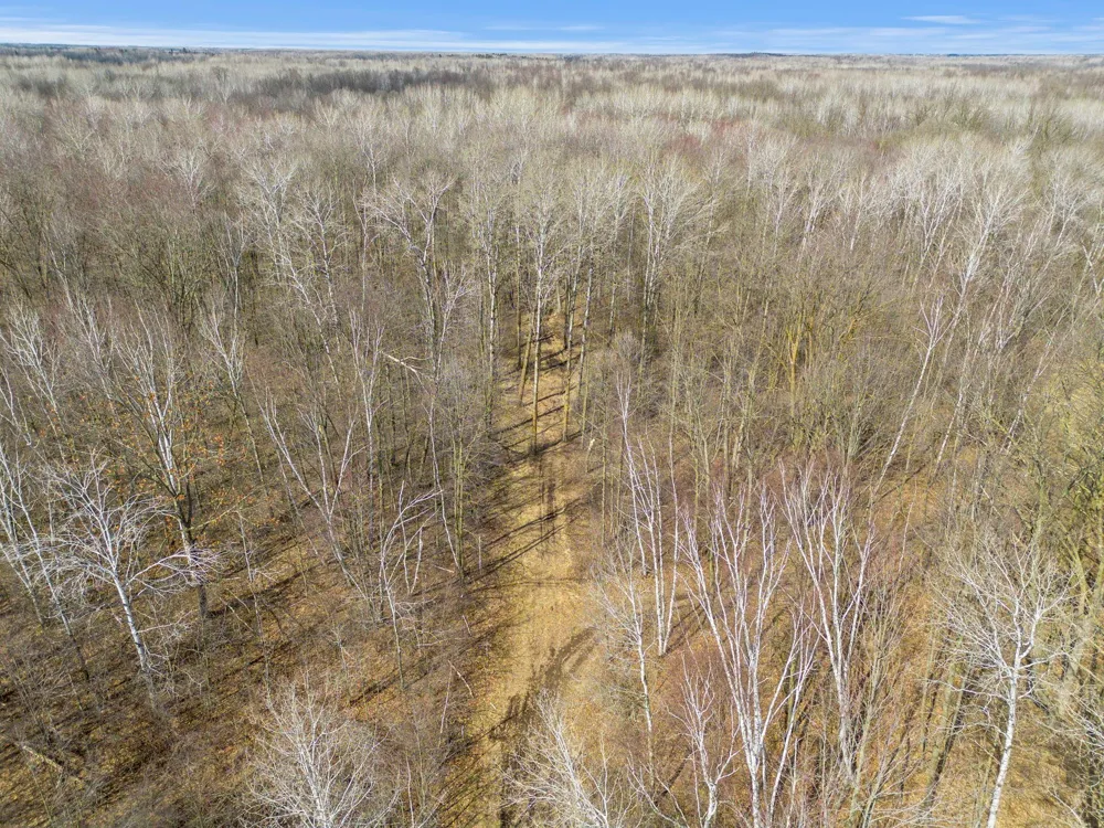 XXX Rice Road Brook Park, MN 55007