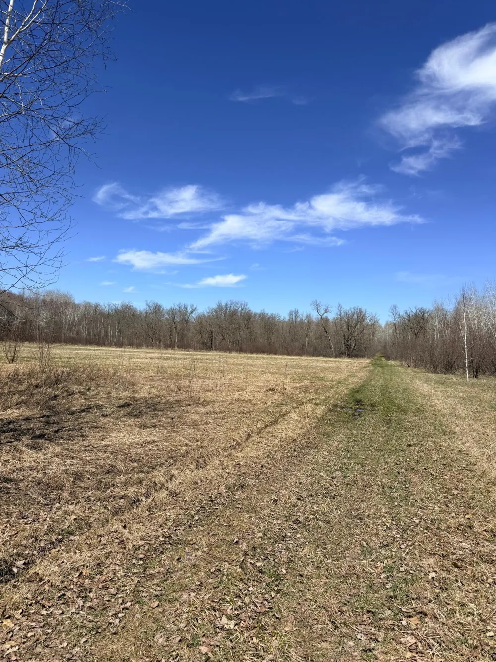 XXX Rice Road Brook Park, MN 55007