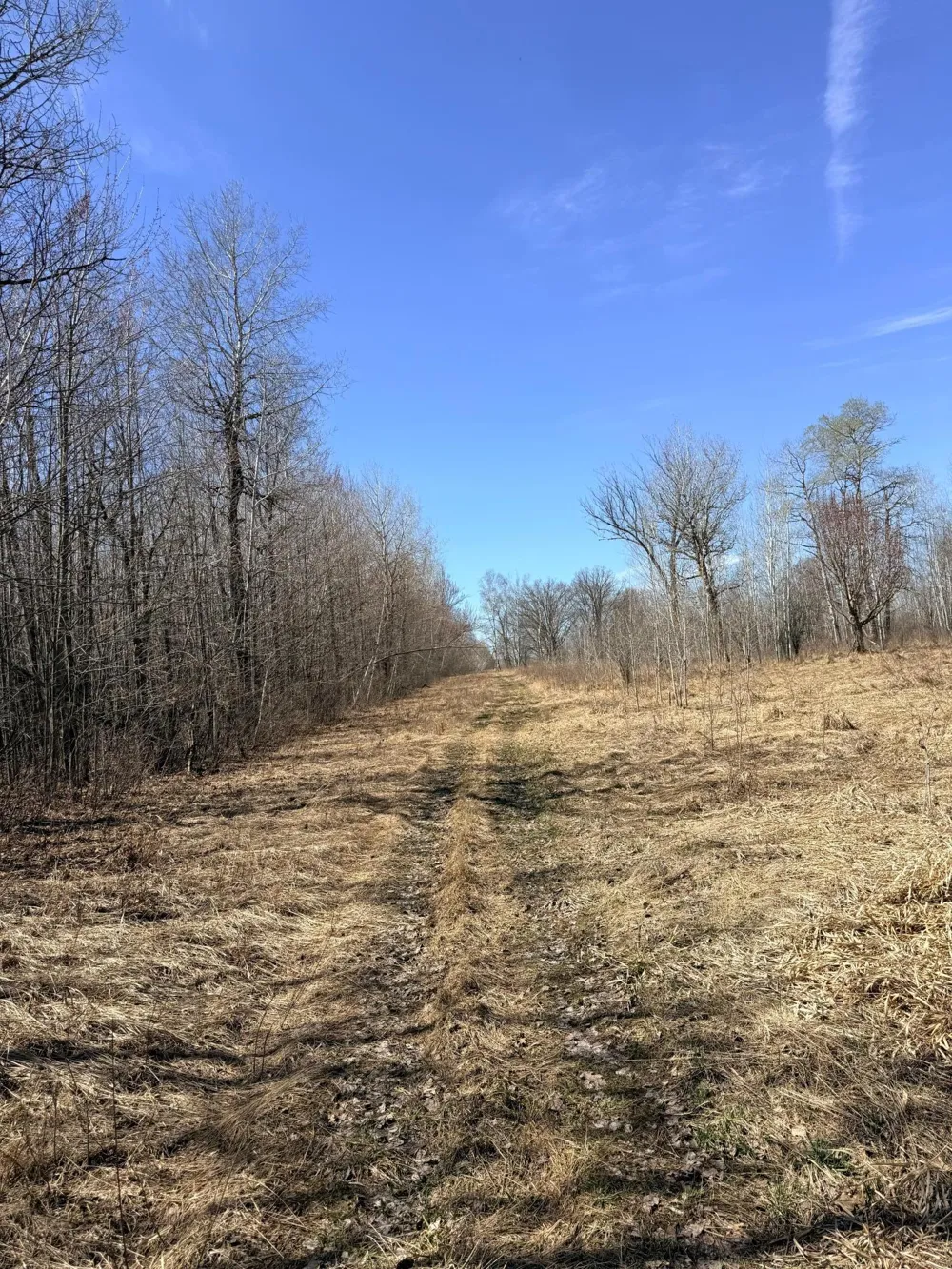 XXX Rice Road Brook Park, MN 55007