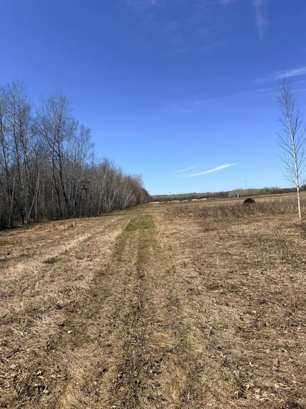 XXX Rice Road Brook Park, MN 55007
