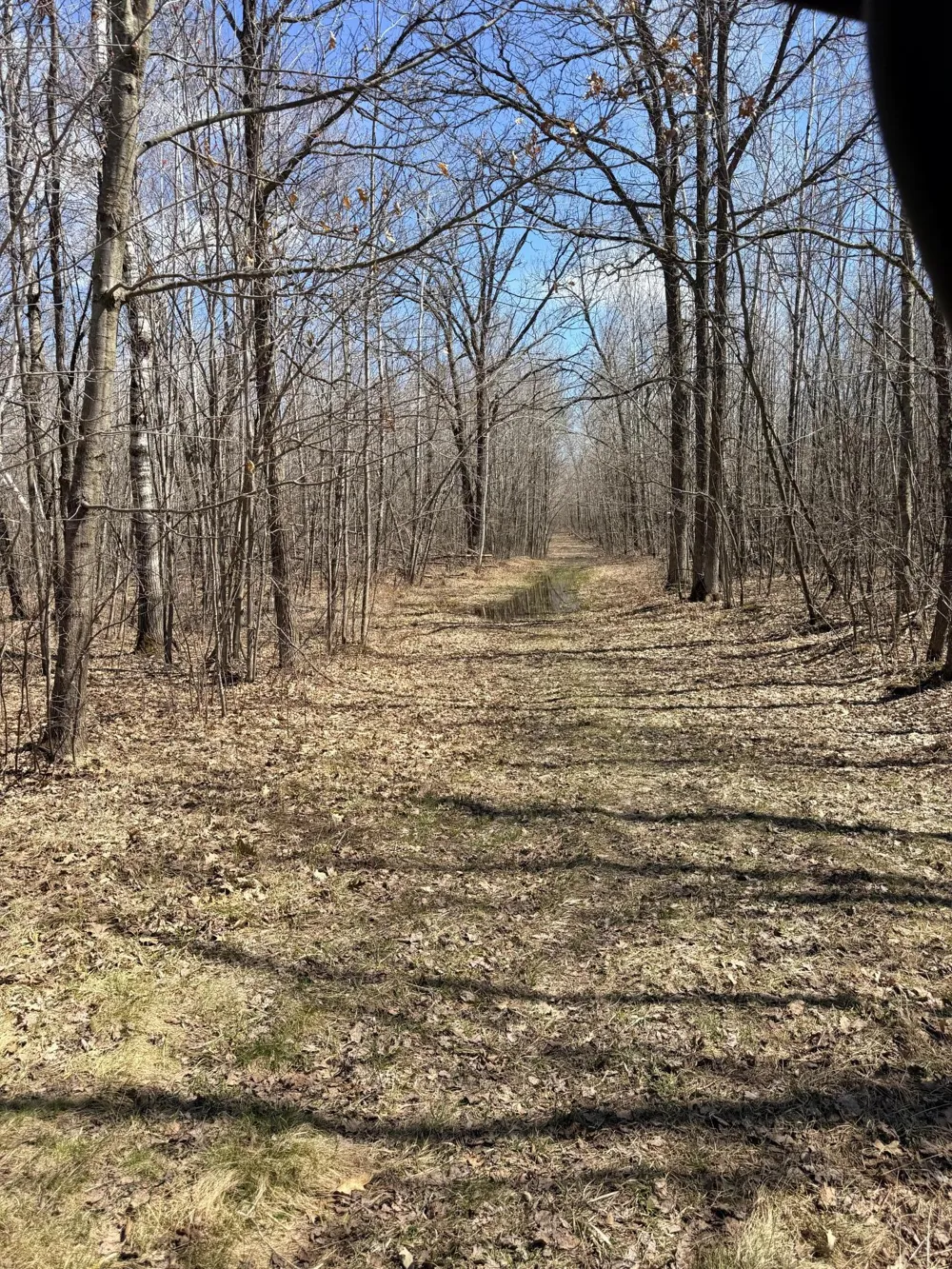 XXX Rice Road Brook Park, MN 55007