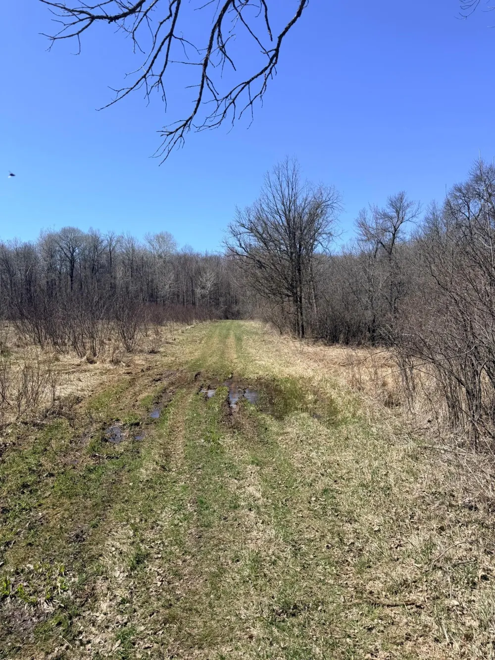 XXX Rice Road Brook Park, MN 55007