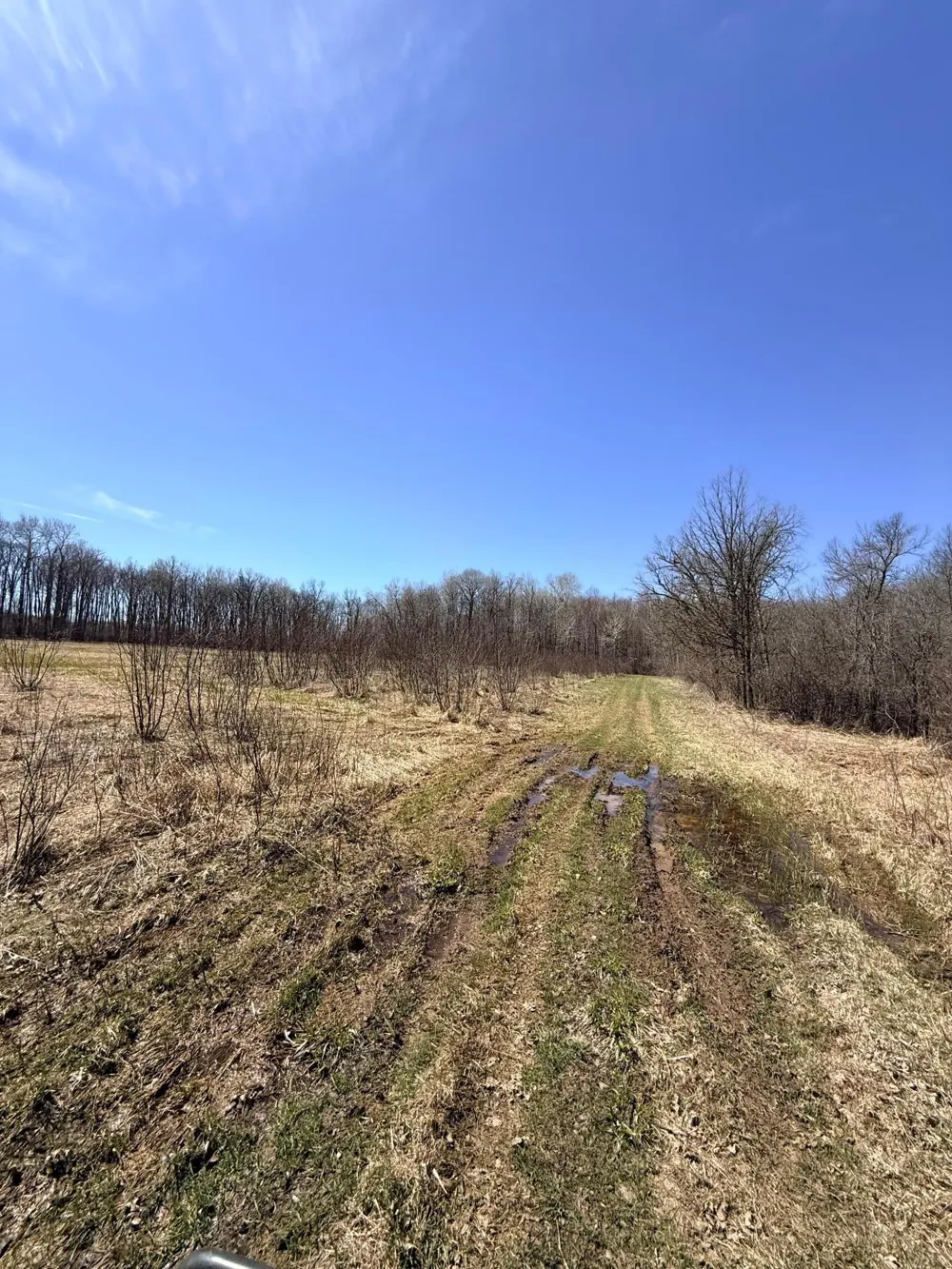 XXX Rice Road Brook Park, MN 55007