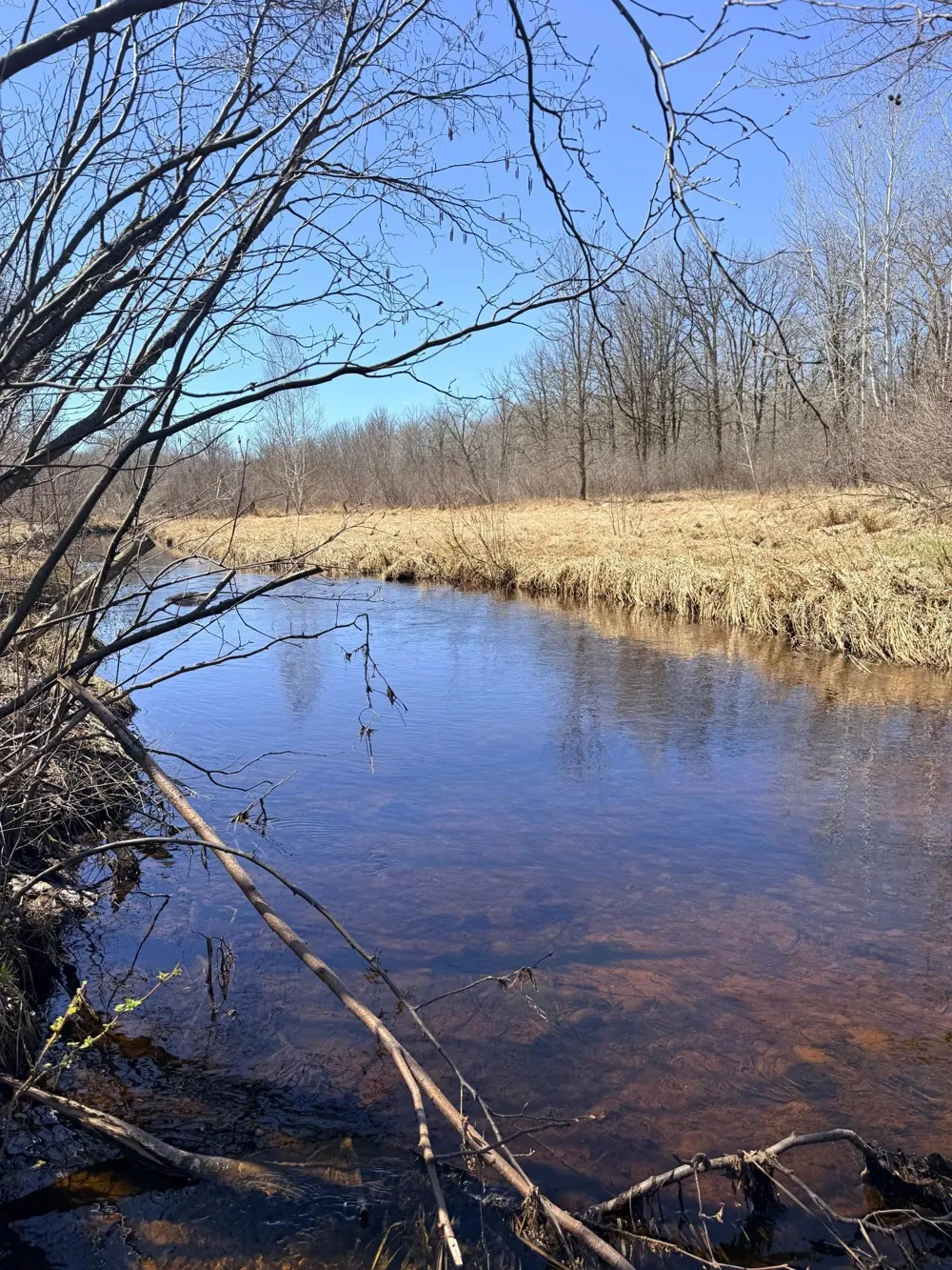 XXX Rice Road Brook Park, MN 55007