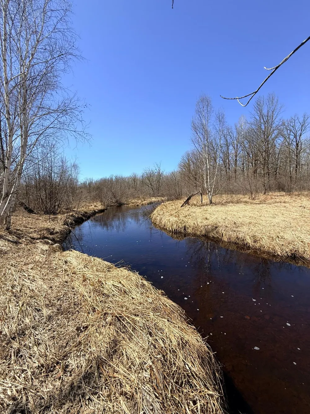 XXX Rice Road Brook Park, MN 55007