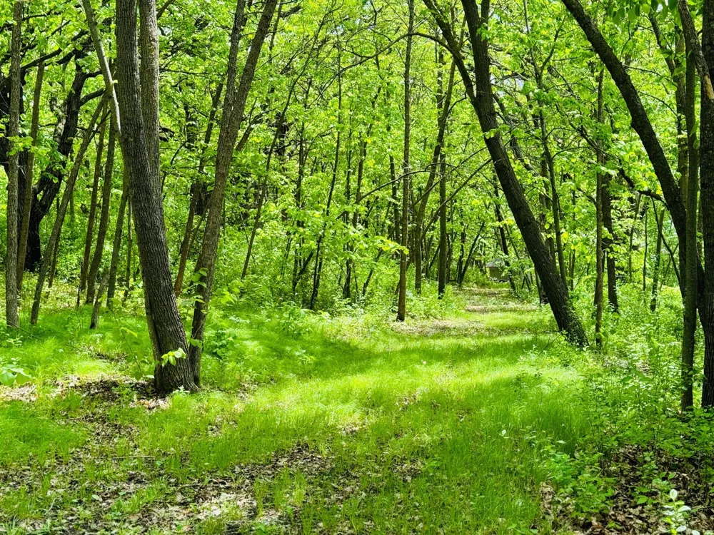 Lot 4 Canterbury Sands Trail Battle Lake, MN 56515
