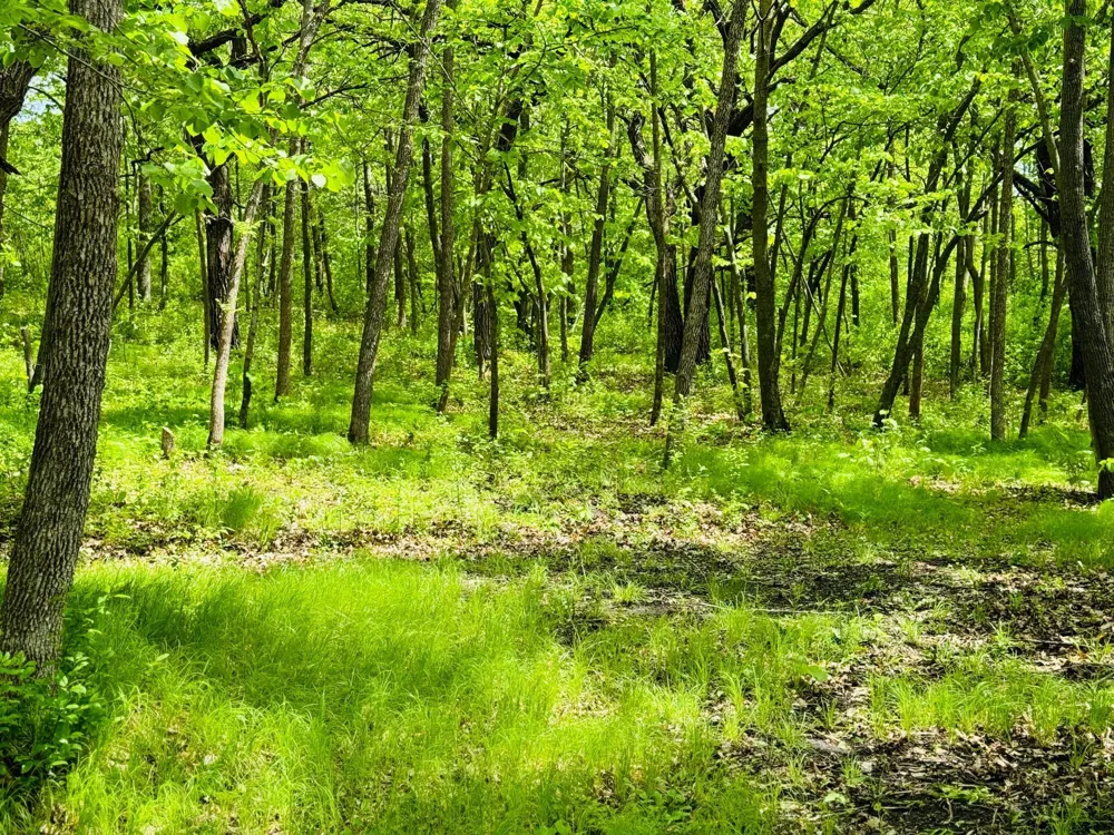 Lot 4 Canterbury Sands Trail Battle Lake, MN 56515