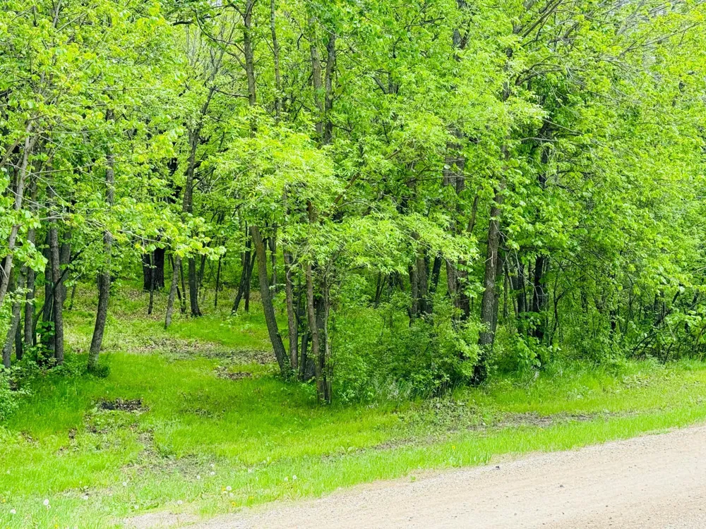 Lot 4 Canterbury Sands Trail Battle Lake, MN 56515