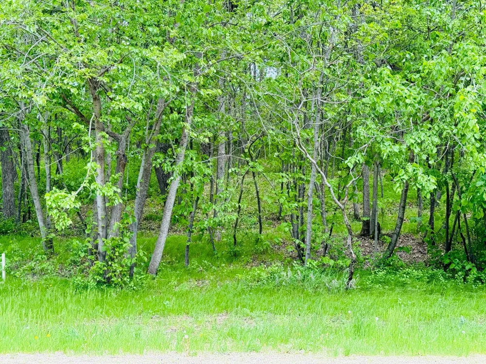 Lot 4 Canterbury Sands Trail Battle Lake, MN 56515