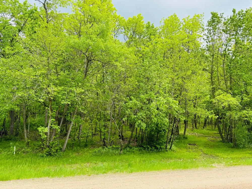 Lot 4 Canterbury Sands Trail Battle Lake, MN 56515