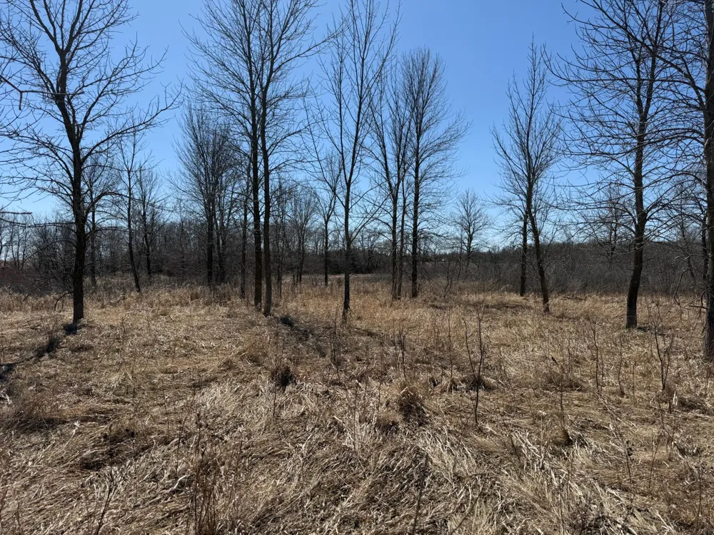 TBD Co Hwy 18 Fergus Falls, MN 56537