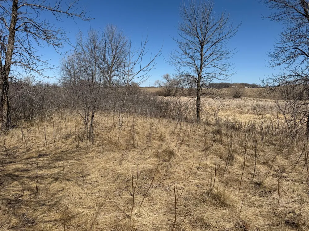 TBD Co Hwy 18 Fergus Falls, MN 56537