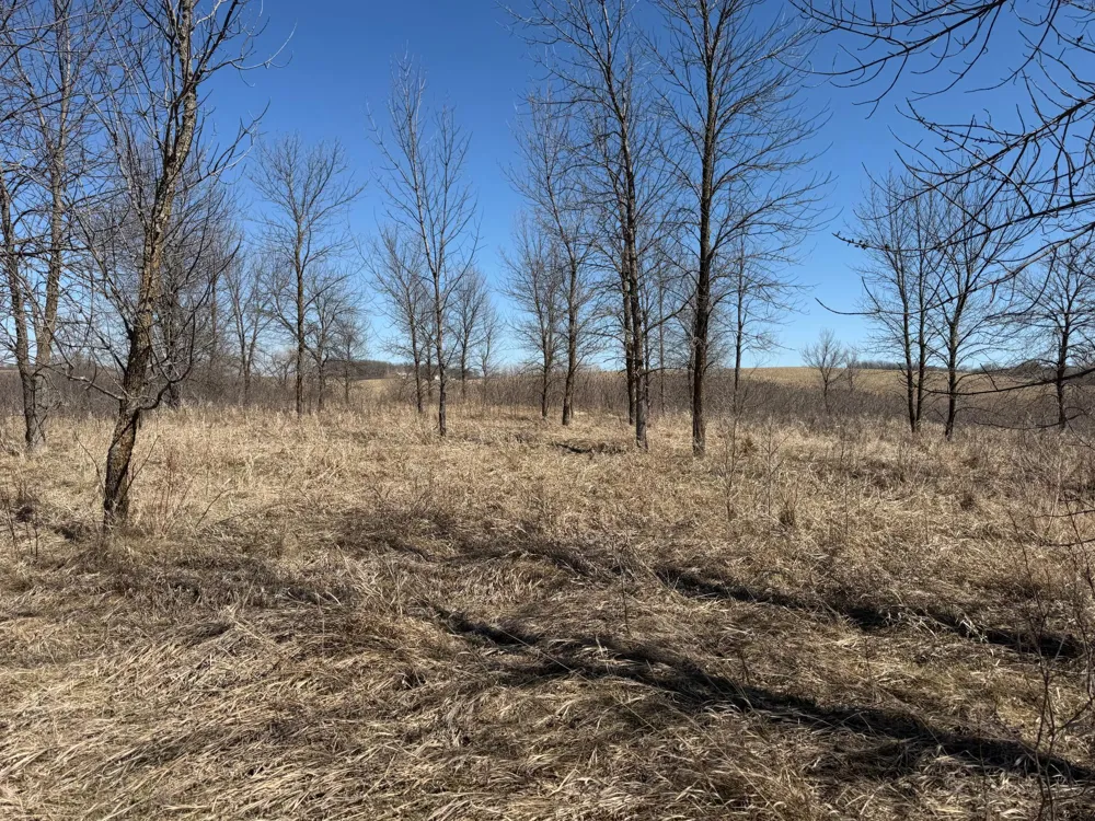 TBD Co Hwy 18 Fergus Falls, MN 56537