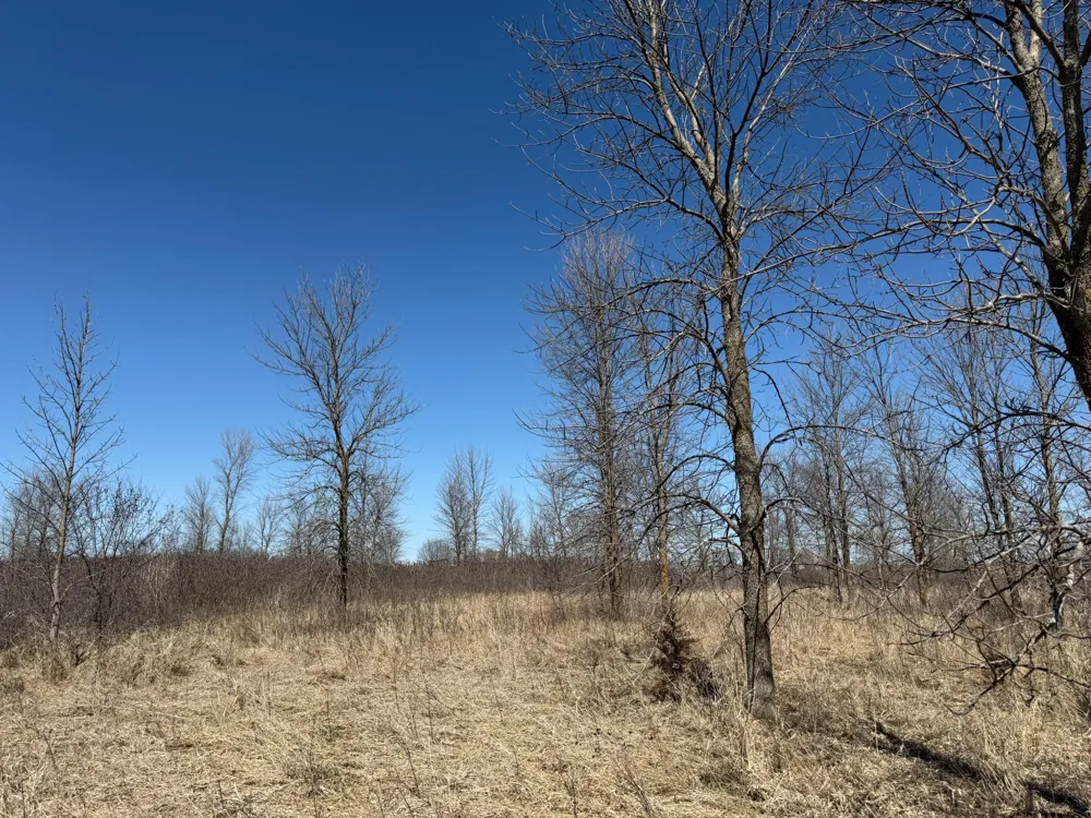 TBD Co Hwy 18 Fergus Falls, MN 56537