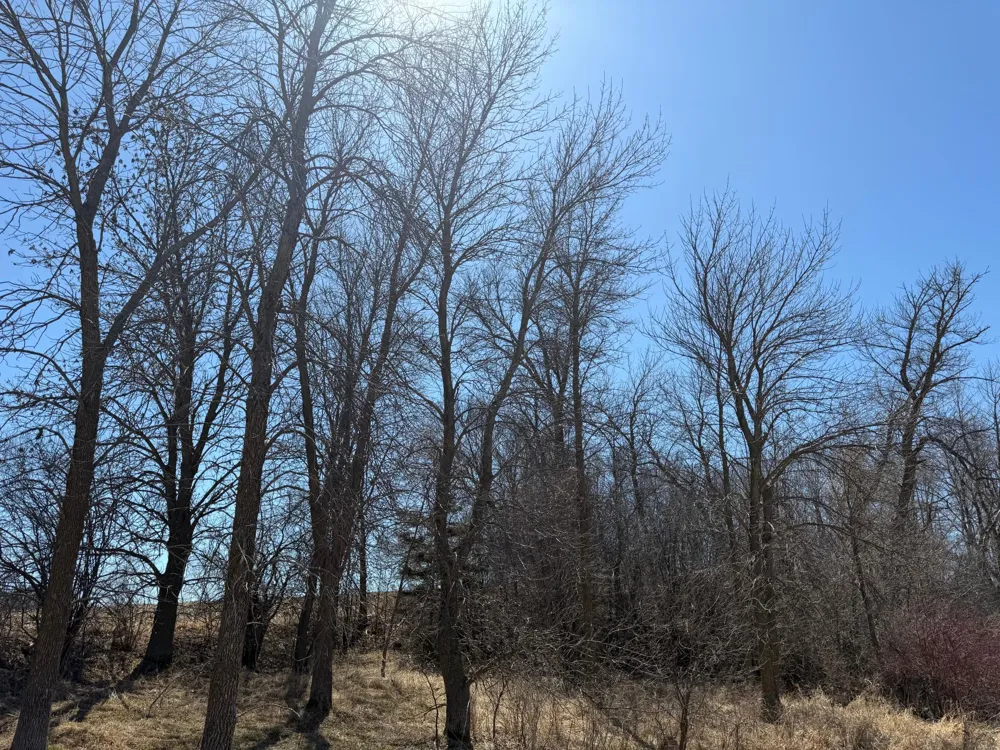 TBD Co Hwy 18 Fergus Falls, MN 56537