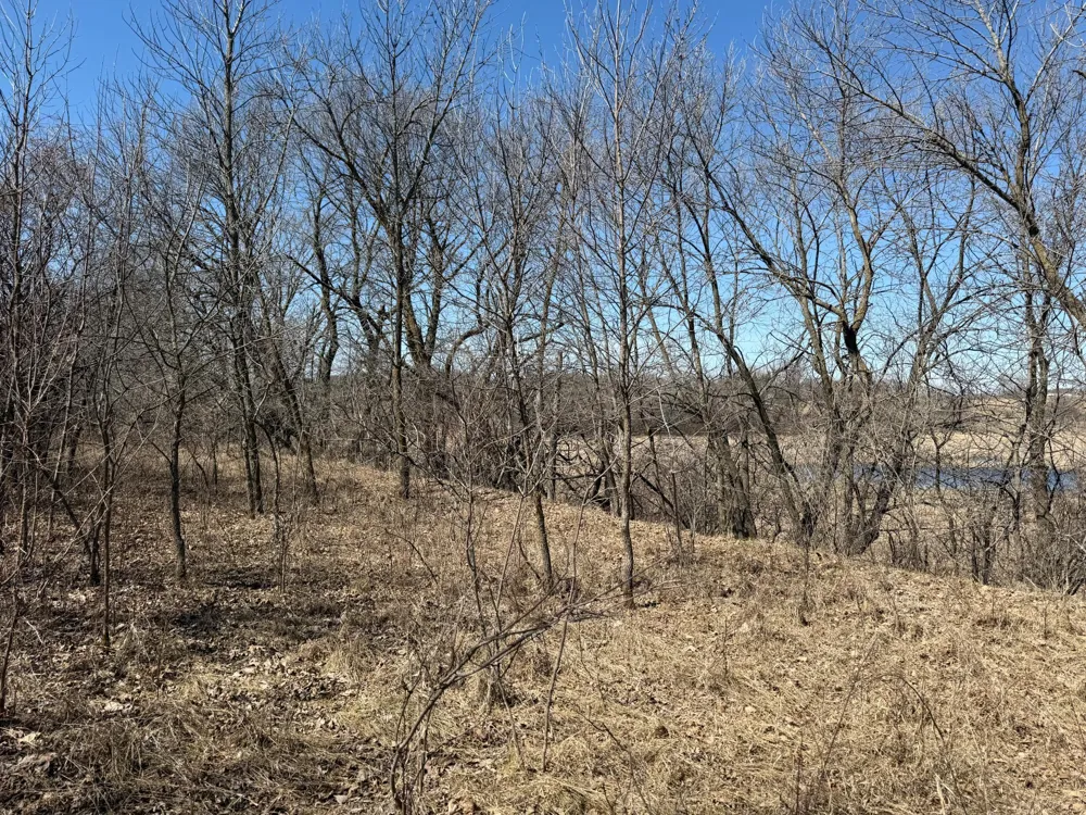 TBD Co Hwy 18 Fergus Falls, MN 56537