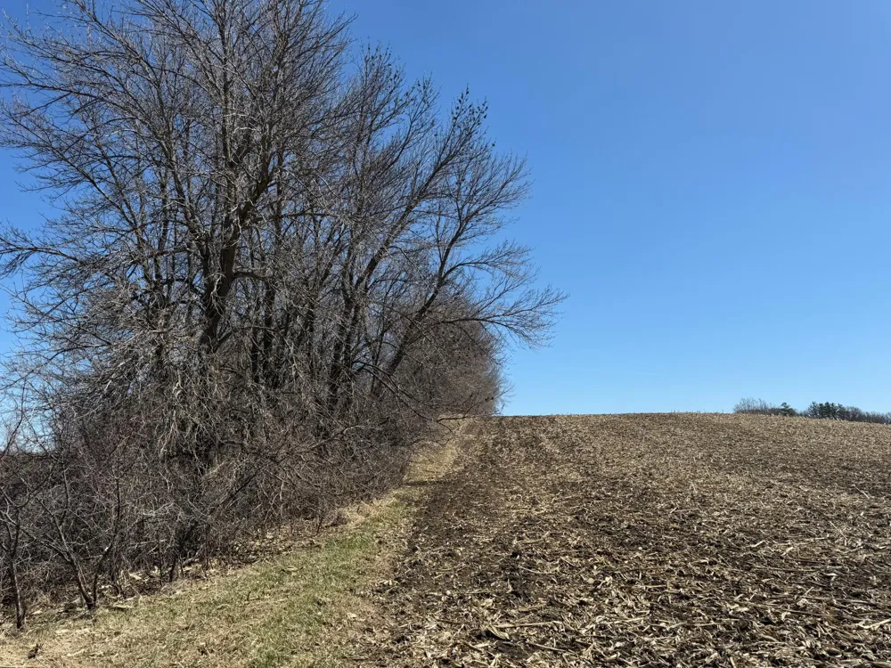 TBD Co Hwy 18 Fergus Falls, MN 56537