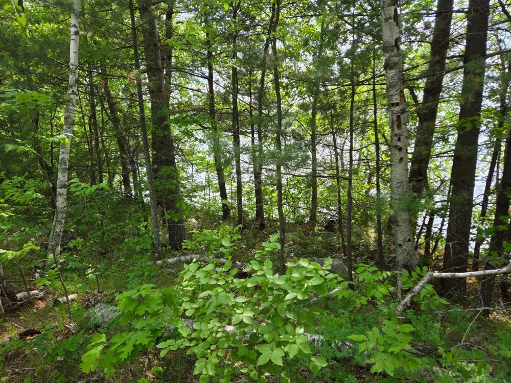 TBD Andrusia Road SE #Lot 4, Block 1 Cass Lake, MN 56633