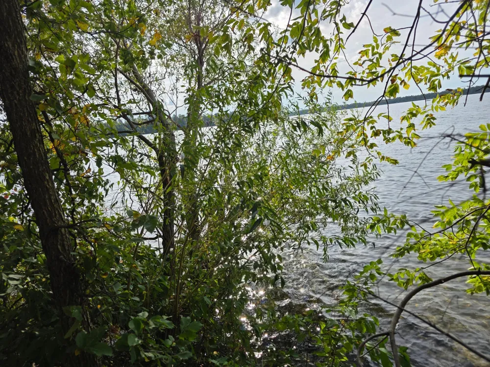 TBD Andrusia Road SE #Lot 4, Block 1 Cass Lake, MN 56633