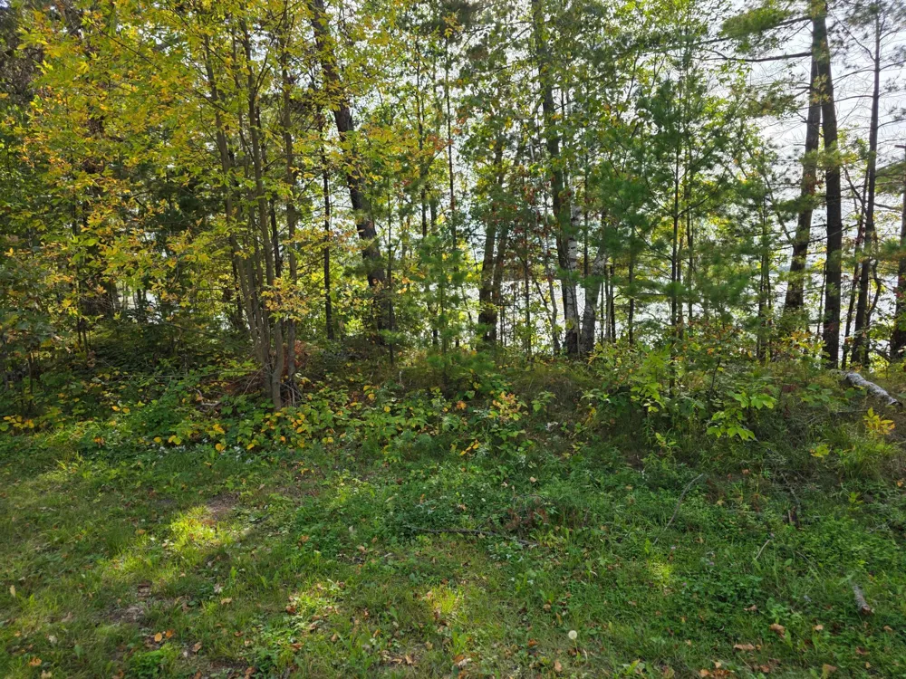 TBD Andrusia Road SE #Lot 4, Block 1 Cass Lake, MN 56633