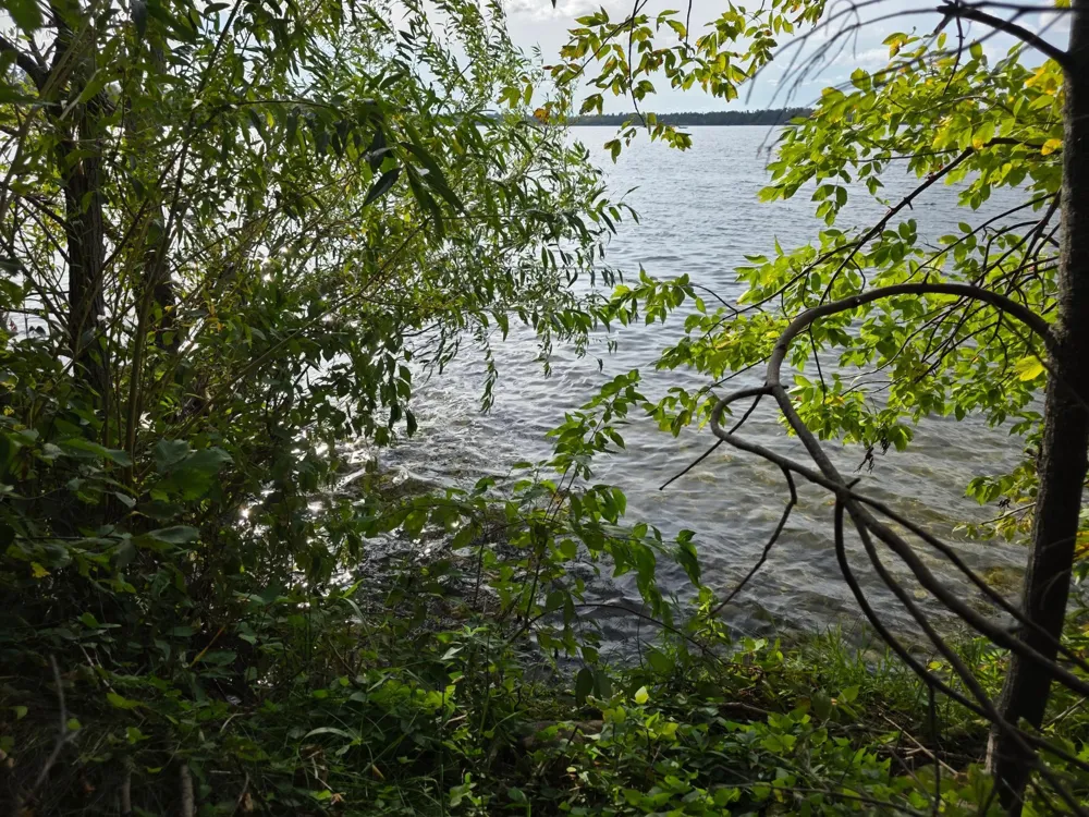 TBD Andrusia Road SE #Lot 4, Block 1 Cass Lake, MN 56633