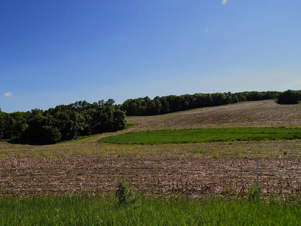 4199 Andes Road SW Kensington, MN 56343