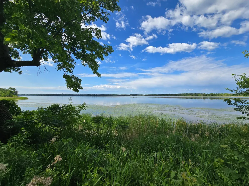 TBD 405th Avenue Richville, MN 56576