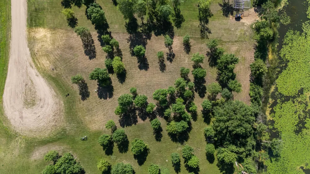TBD 405th Avenue Richville, MN 56576