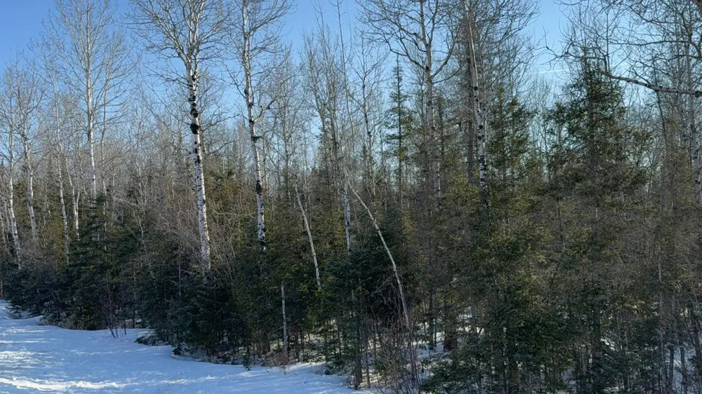 XXX Highway 12 Two Harbors, MN 55616