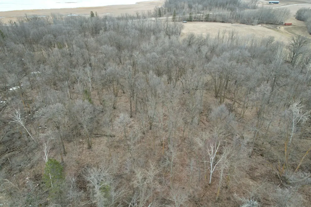 TBD 460th Street Gonvick, MN 56644