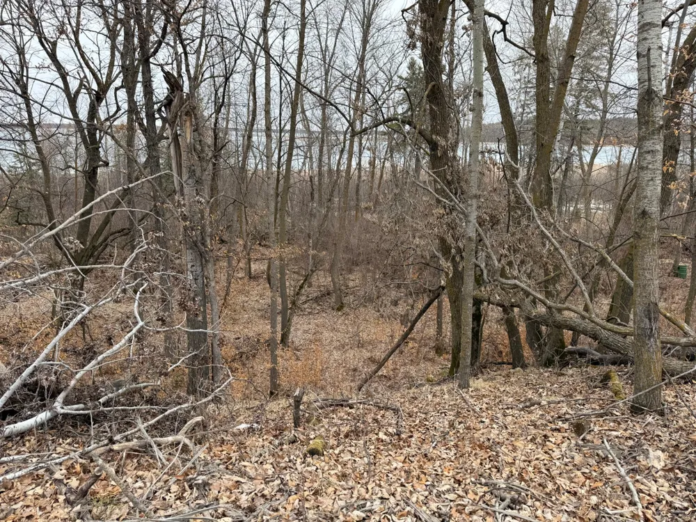 TBD 460th Street Gonvick, MN 56644