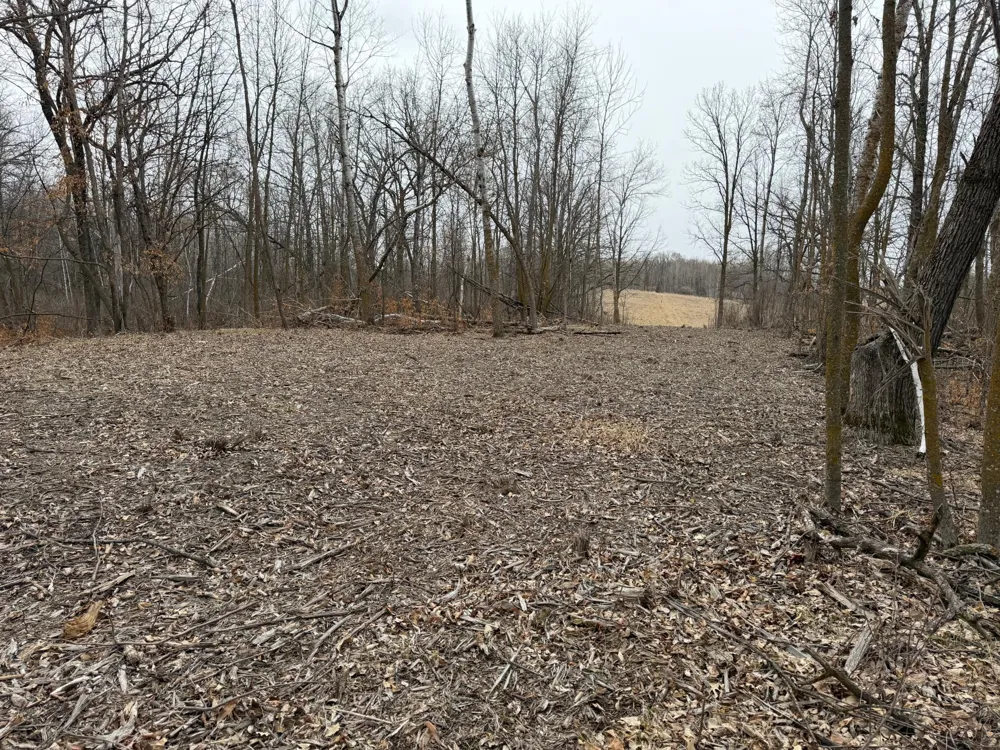 TBD 460th Street Gonvick, MN 56644