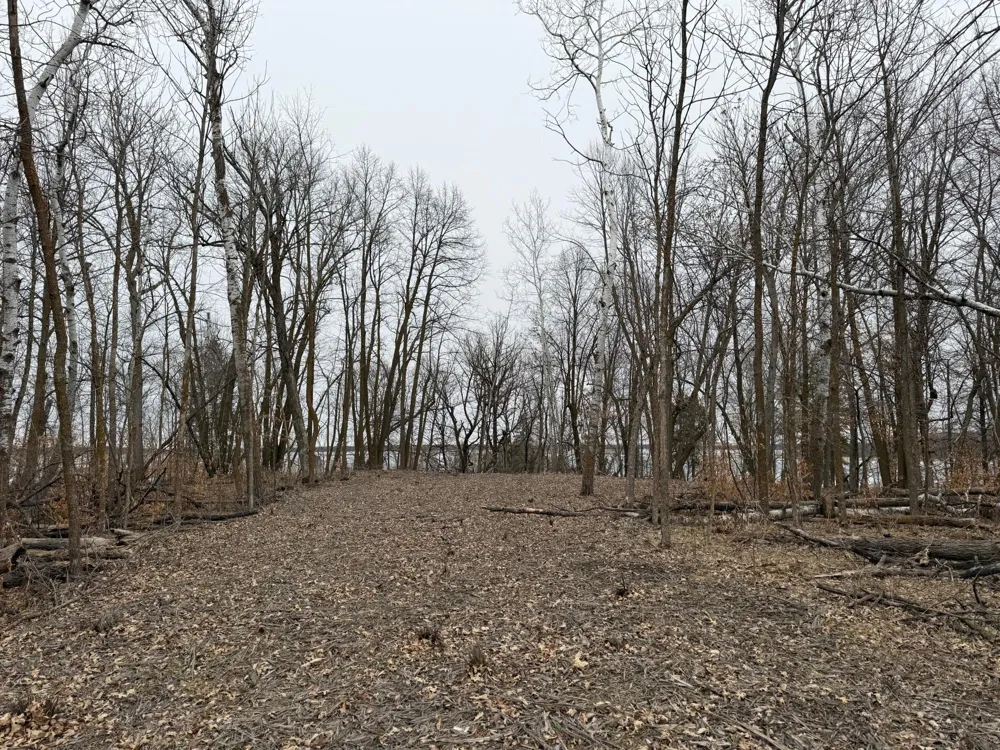 TBD 460th Street Gonvick, MN 56644