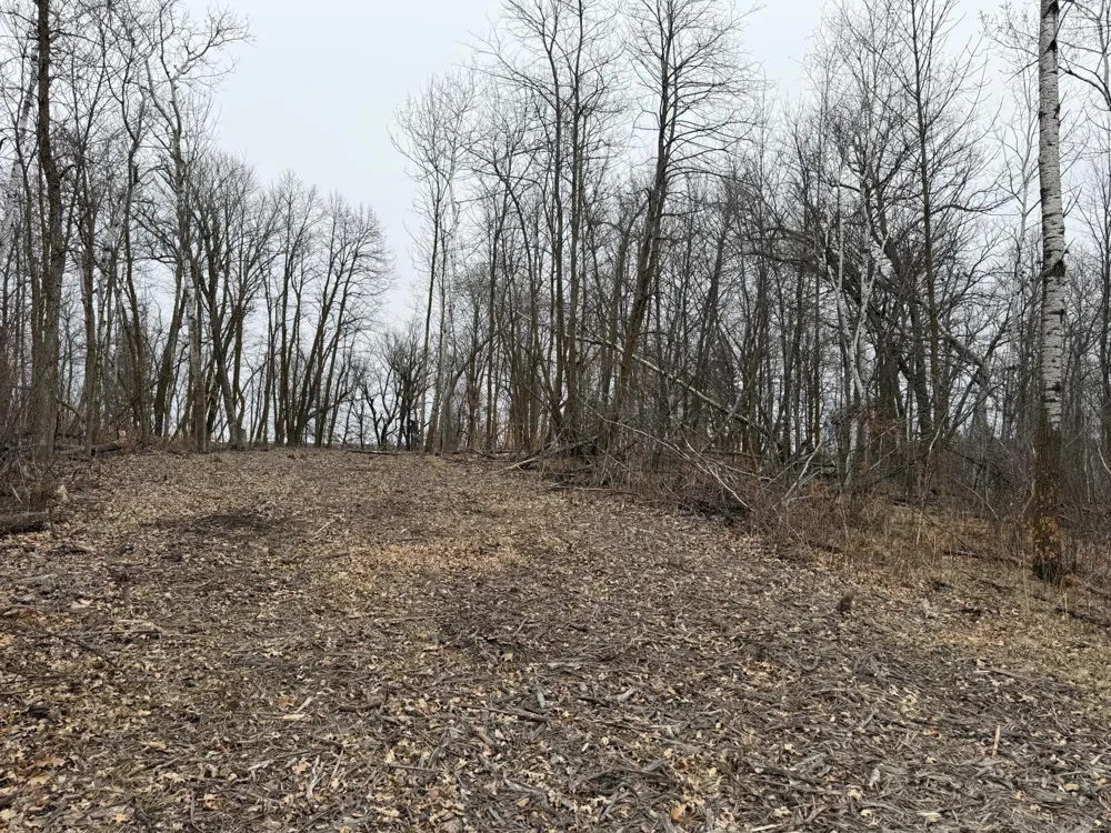 TBD 460th Street Gonvick, MN 56644
