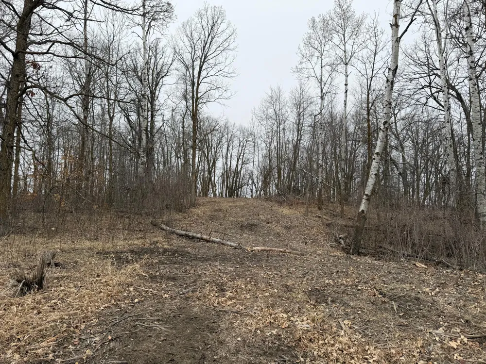 TBD 460th Street Gonvick, MN 56644