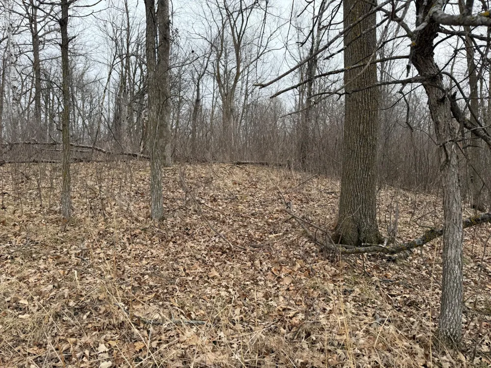 TBD 460th Street Gonvick, MN 56644