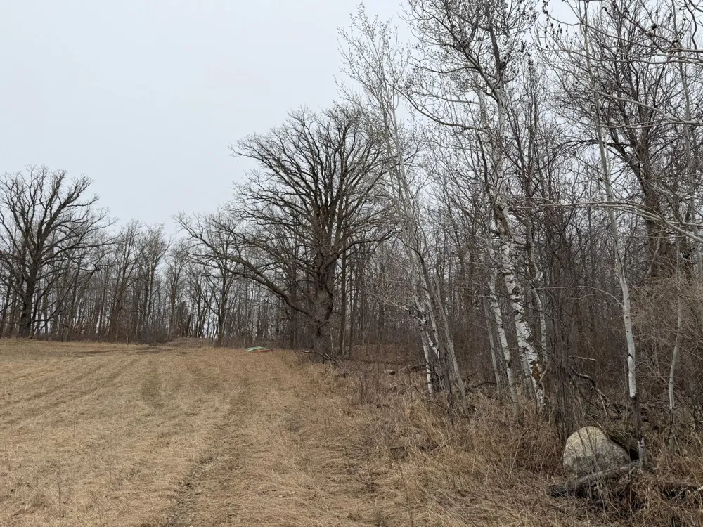 TBD 460th Street Gonvick, MN 56644
