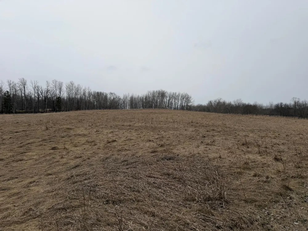 TBD 460th Street Gonvick, MN 56644